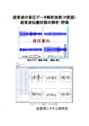 超音波の音圧データ解析技術（R言語）2024